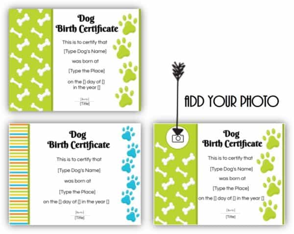 Dog adoption certificates