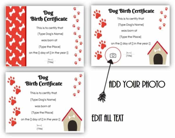 Dog birth certificate templatess