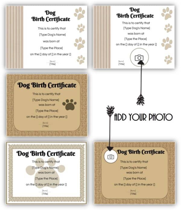 Dog certificates