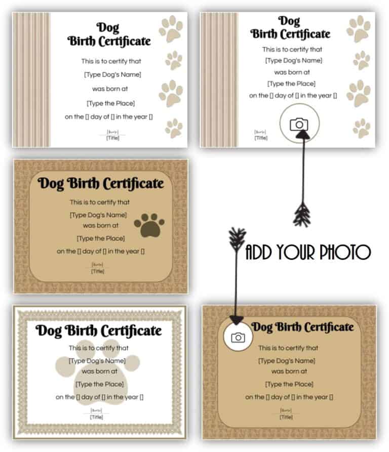 FREE Editable Printable Dog Birth Certificate Dog Adoption Certificate